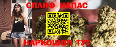 ешки Сланцы