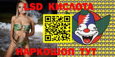 ешки Сланцы