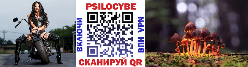 маркетплейс Telegram  Фрязино  Псилоцибиновые грибы Psilocybe 