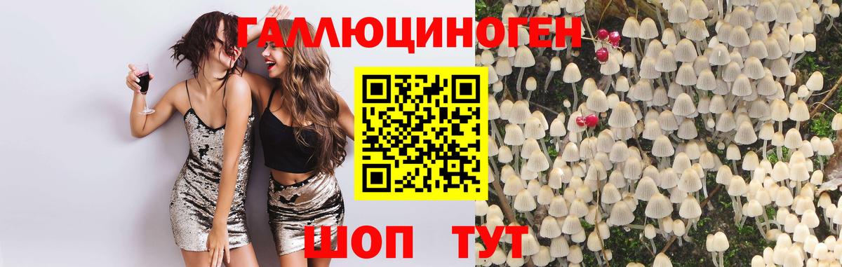Псилоцибиновые грибы Magic Shrooms  Псилоцибиновые грибы Psilocybe  Фрязино  Вход с VPN 
